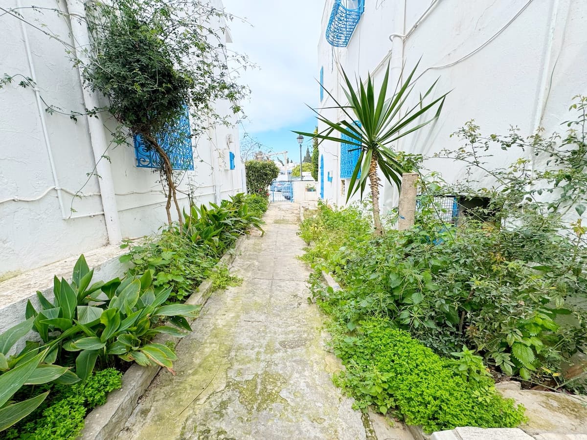 Loft de style à Sidi Bou Said — Sidi Bou Said · Photo 22